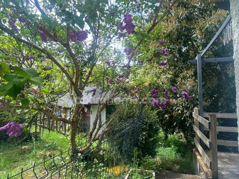 VILLEBON-SUR-YVETTE (91) - Maison individuelle avec jardin dans un environnement privilégié - photo 18