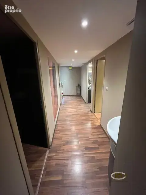 Commerce 160 m² à vendre à Fillinges (74250) - photo 5