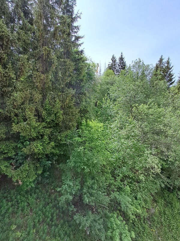 Appartement  - 3 pièces - Les Arcs 1800 - Exclusivité - photo 17