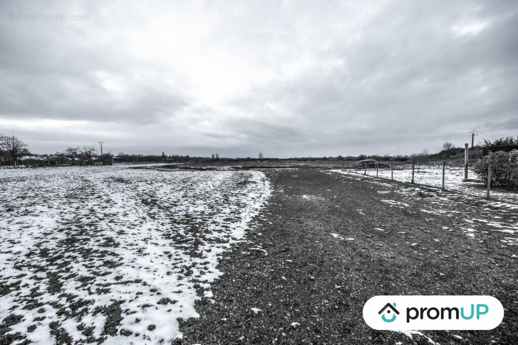 Terrain à GANNAY-SUR-LOIRE