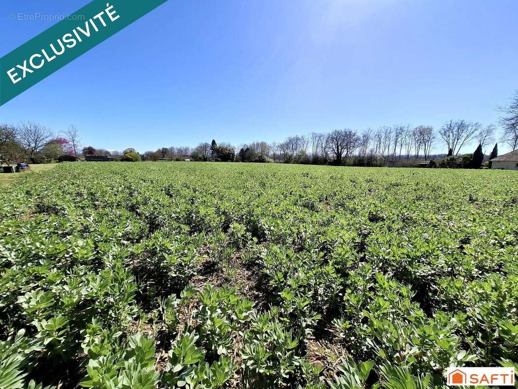 Photo 2 - Terrain à NAVARRENX