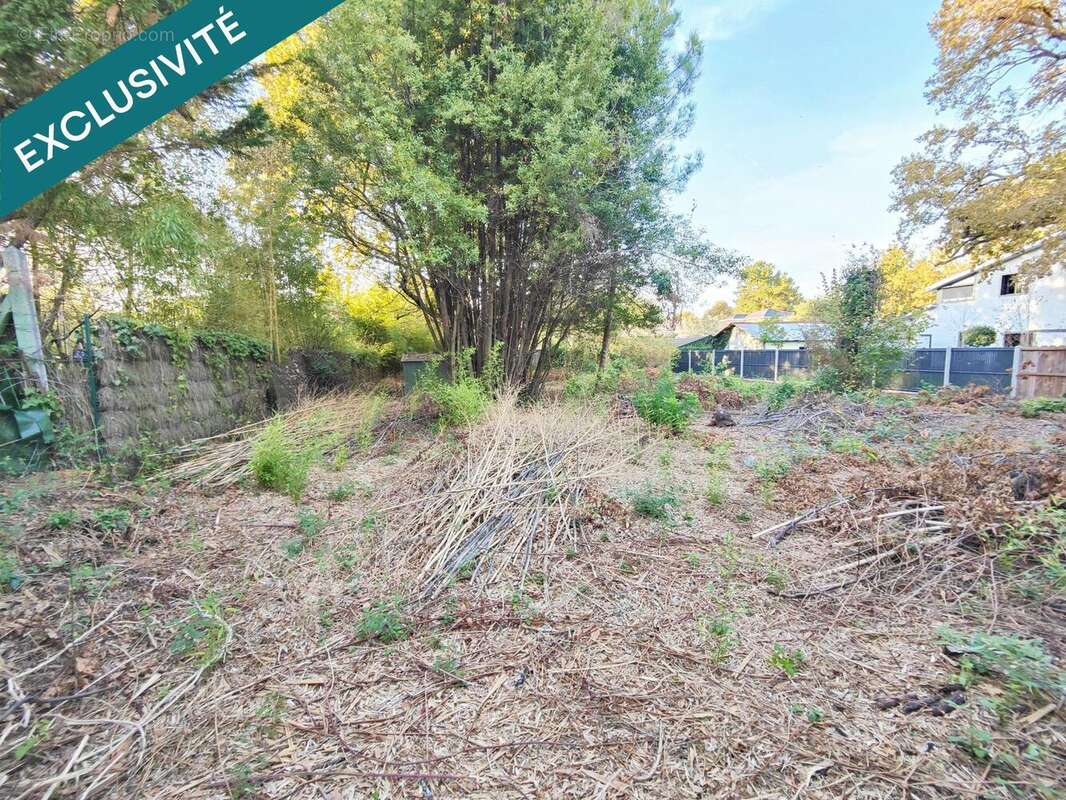 Photo 2 - Terrain à PESSAC