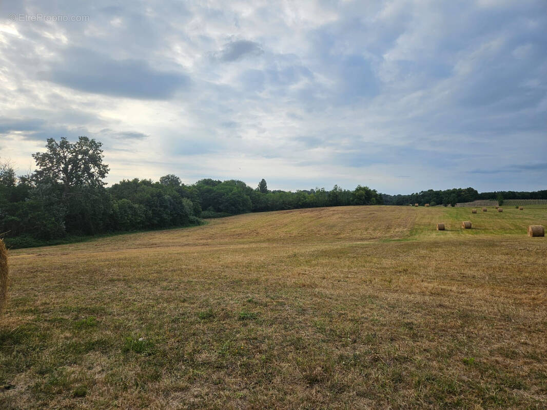 Terrain à COUTURES