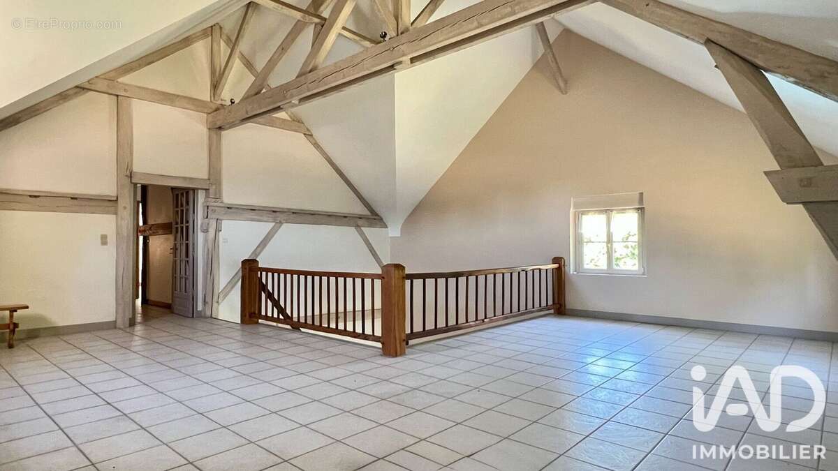 Maison 476 m² à La Croix-En-Touraine  - photo 9