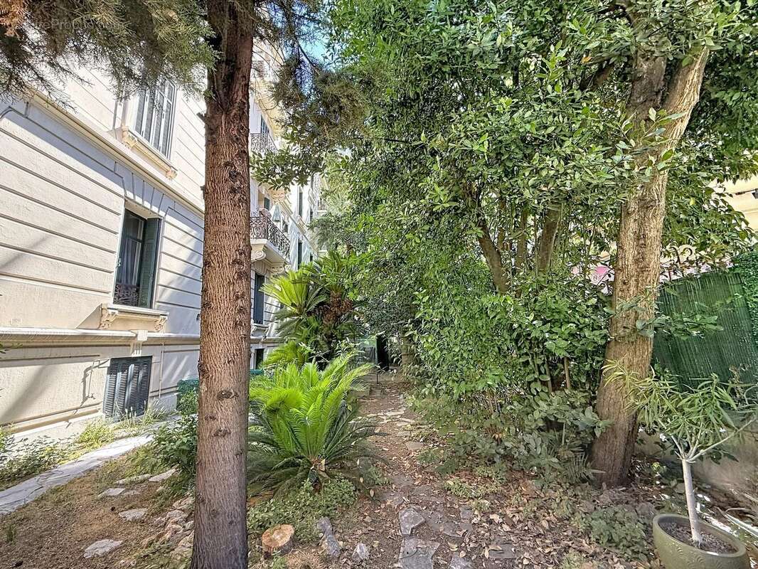 Cannes 300 m. palais : bourgeois a renover + jardin - photo 7