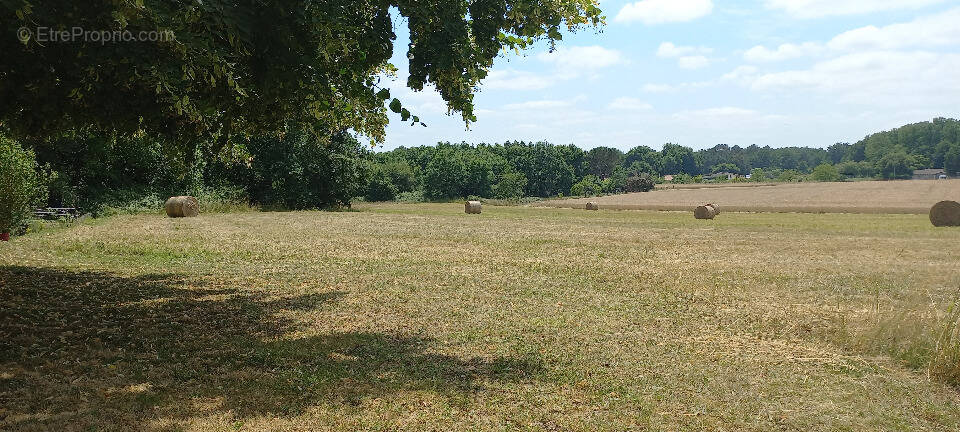Terrain à SAINT-FRONT-DE-PRADOUX