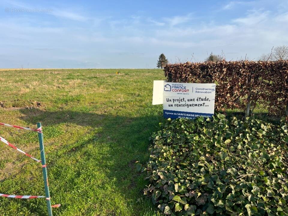 Terrain à ALLOUVILLE-BELLEFOSSE