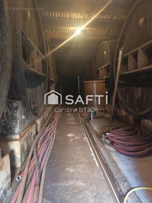 Photo 8 - Maison à PUISSERGUIER