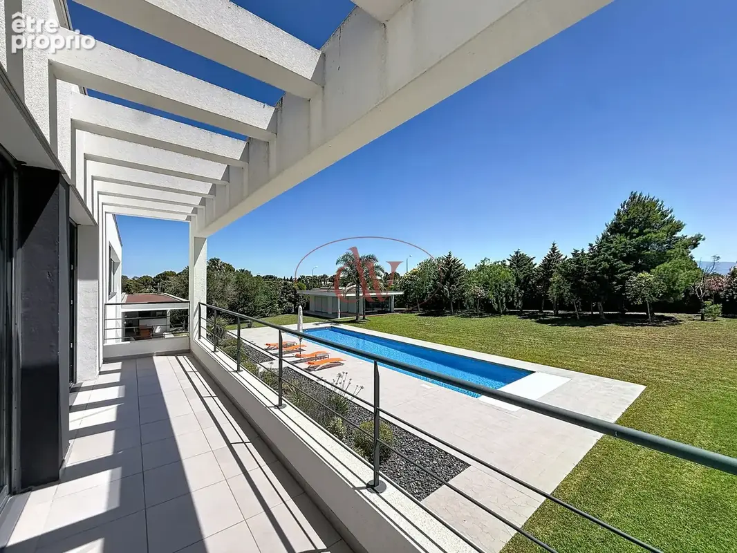 Mas llaro - exclusivite - photo 4
