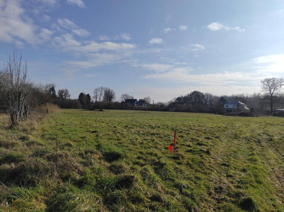 Terrain à AUBERVILLE