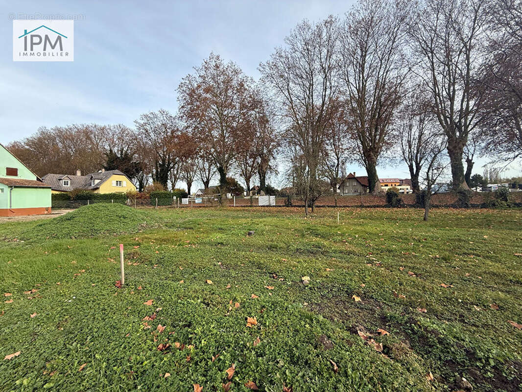 Terrain à ESCHAU