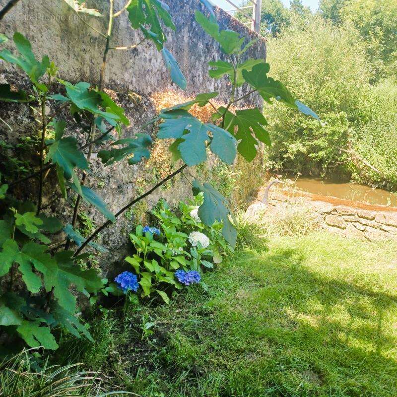 Maison à SAINT-MACAIRE-EN-MAUGES