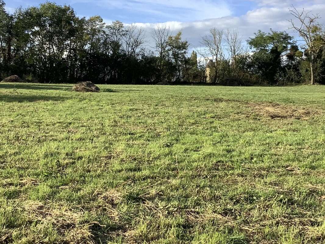 Maison à FONTENAY-LE-COMTE