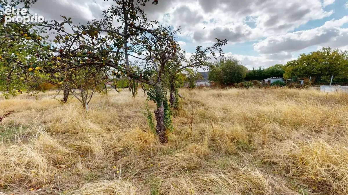 Maison de 69m2 habitables avec vie de plain pied à NEUVY-PAILLOUX (36100) - photo 16