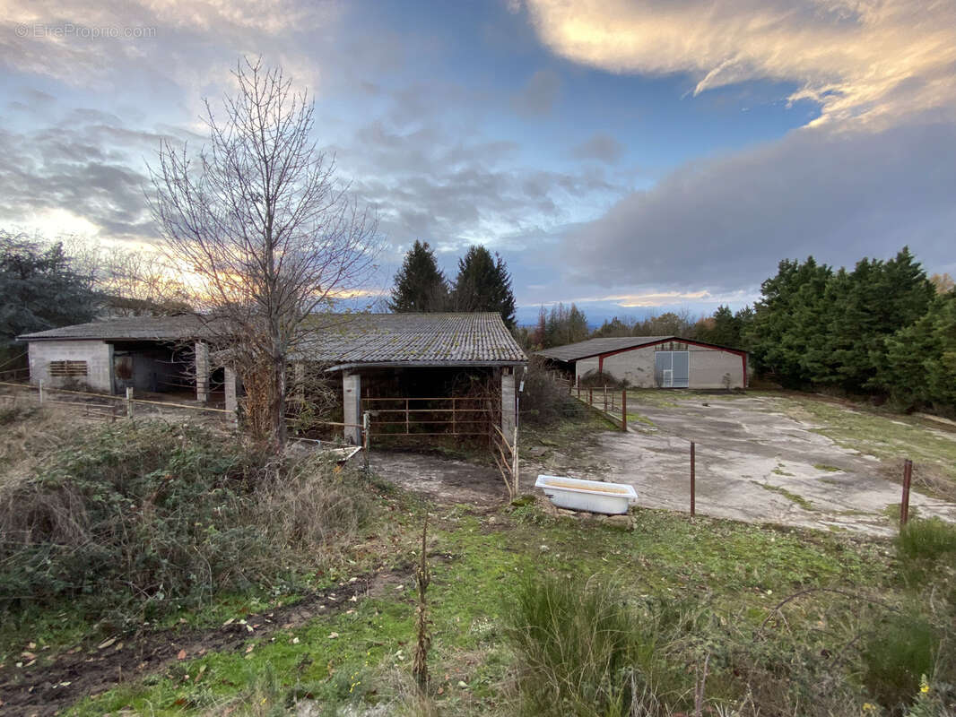 Terrain à SAINT-JUST-SAINT-RAMBERT