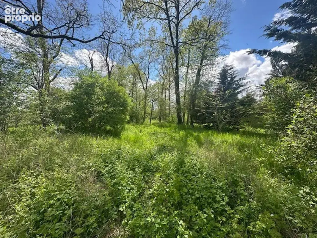 Maison 4 pièces 65 m² à vendre à Orgeres-En-Beauce (28140) - photo 3