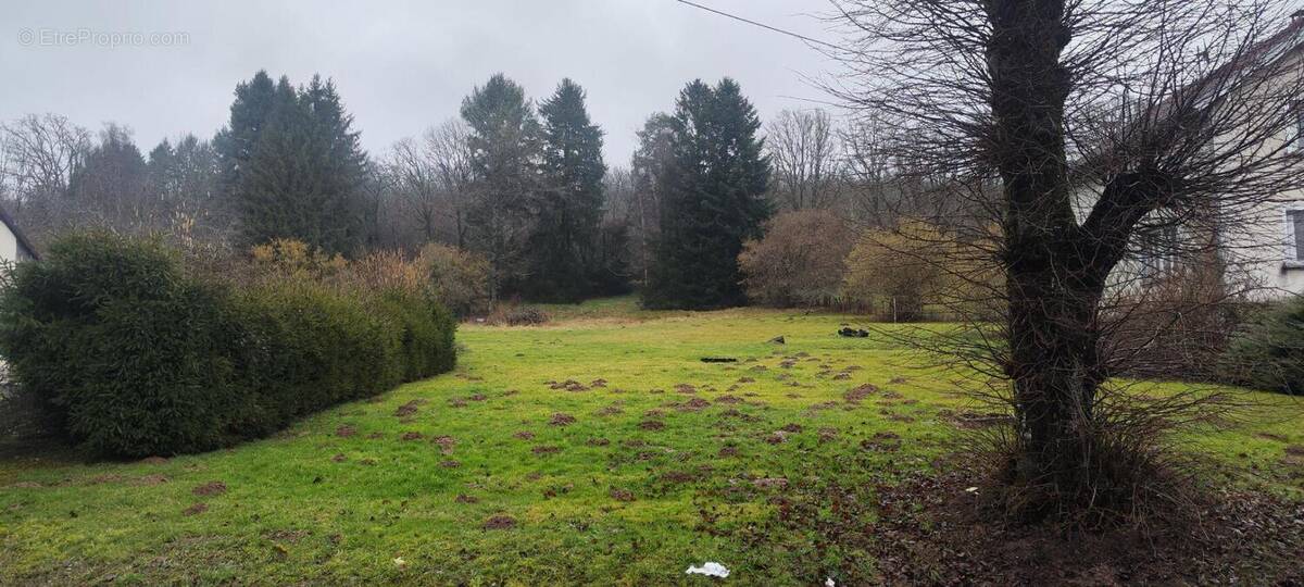 Terrain à EVETTE-SALBERT