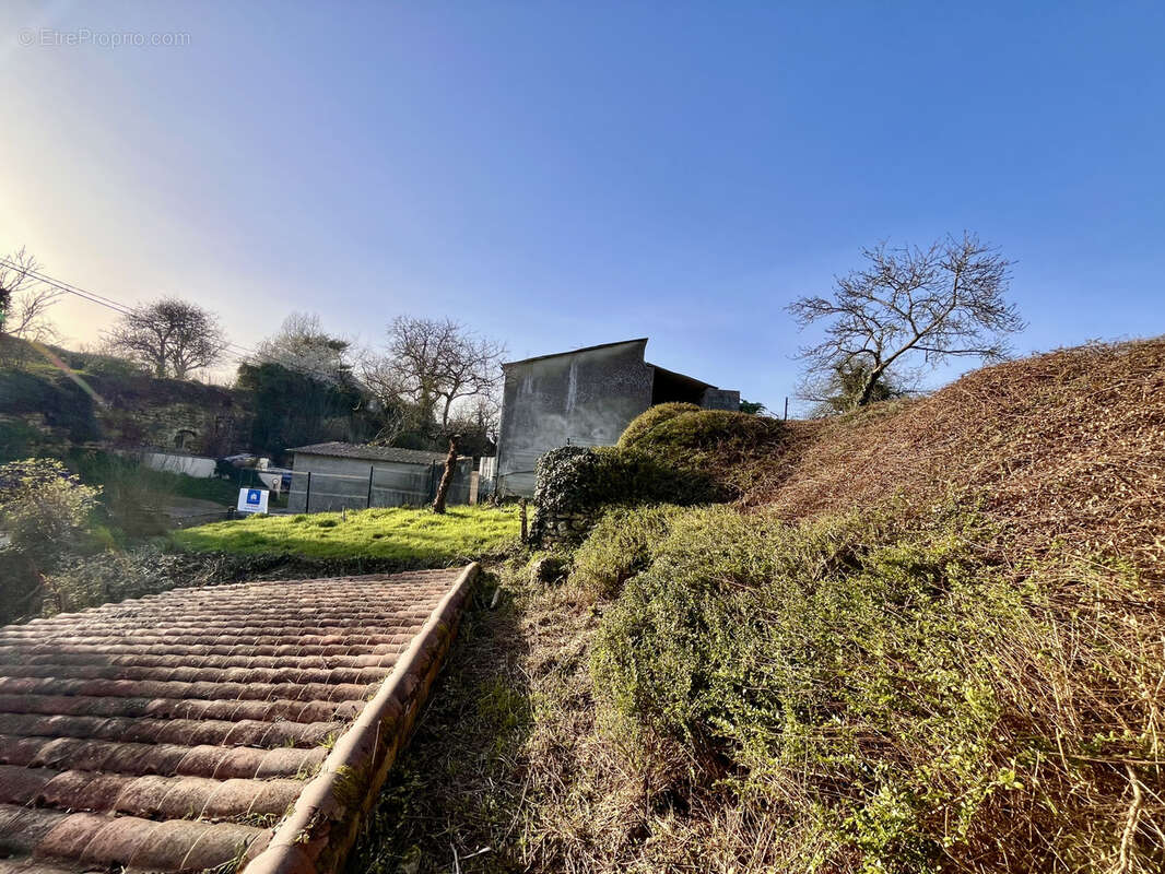 Maison à MONTREUIL-BELLAY