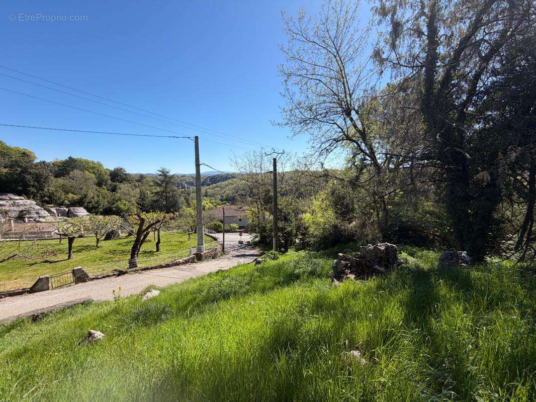 Terrain  constructible à vendre de 2 488 m² - photo 5