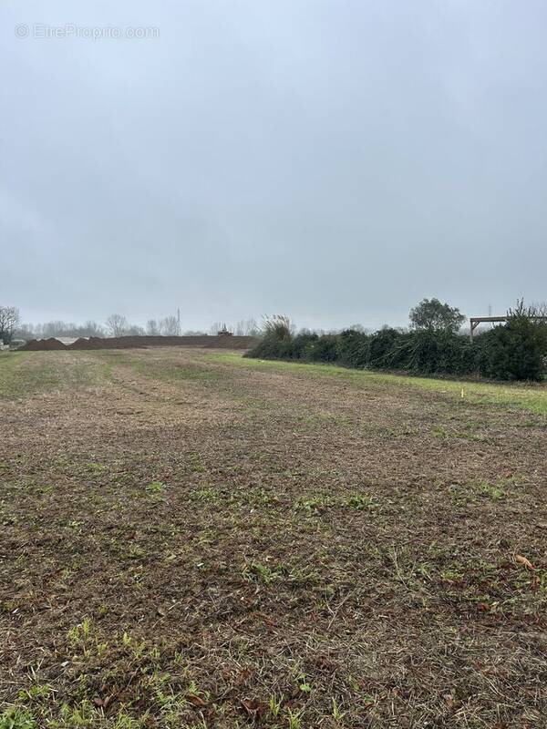 Terrain à VILLEDOUX