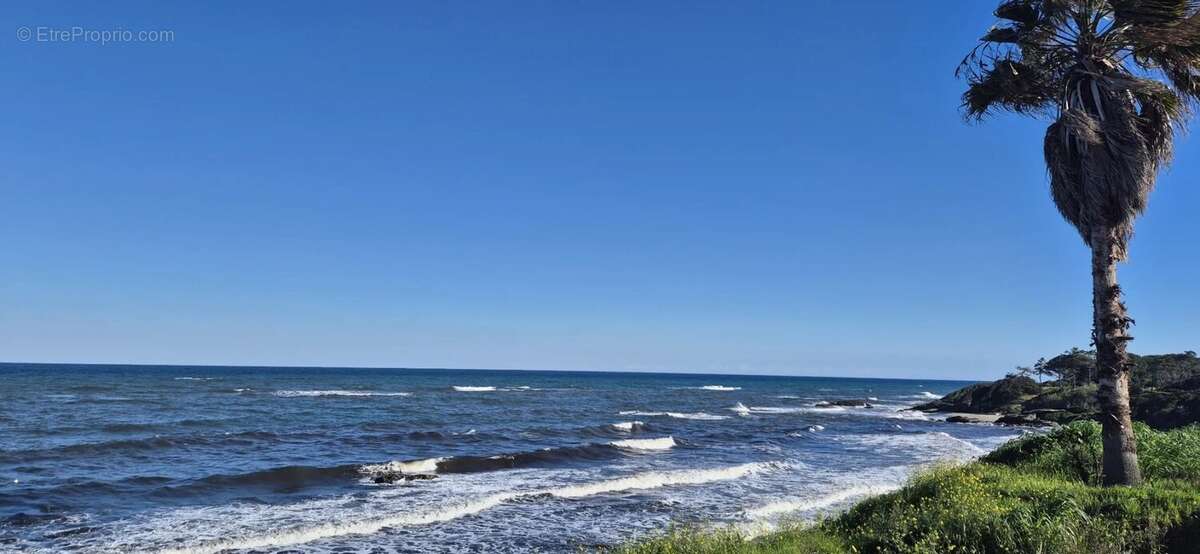 Appartement à LINGUIZZETTA