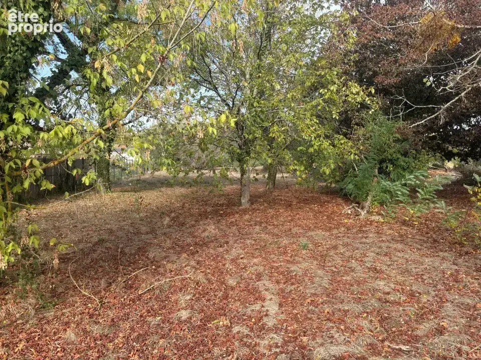 Terrain 736 m² à vendre à Buzet-Sur-Tarn (31660) - photo 4