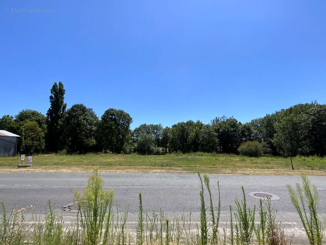Terrain à SAINT-CIERS-DU-TAILLON