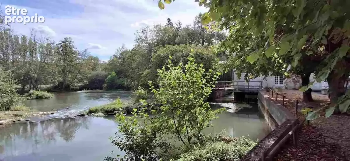 Entre Tours et Amboise, découvrez un moulin du XVIe siècle au cadre exceptionnel sur 3.4ha - photo 10