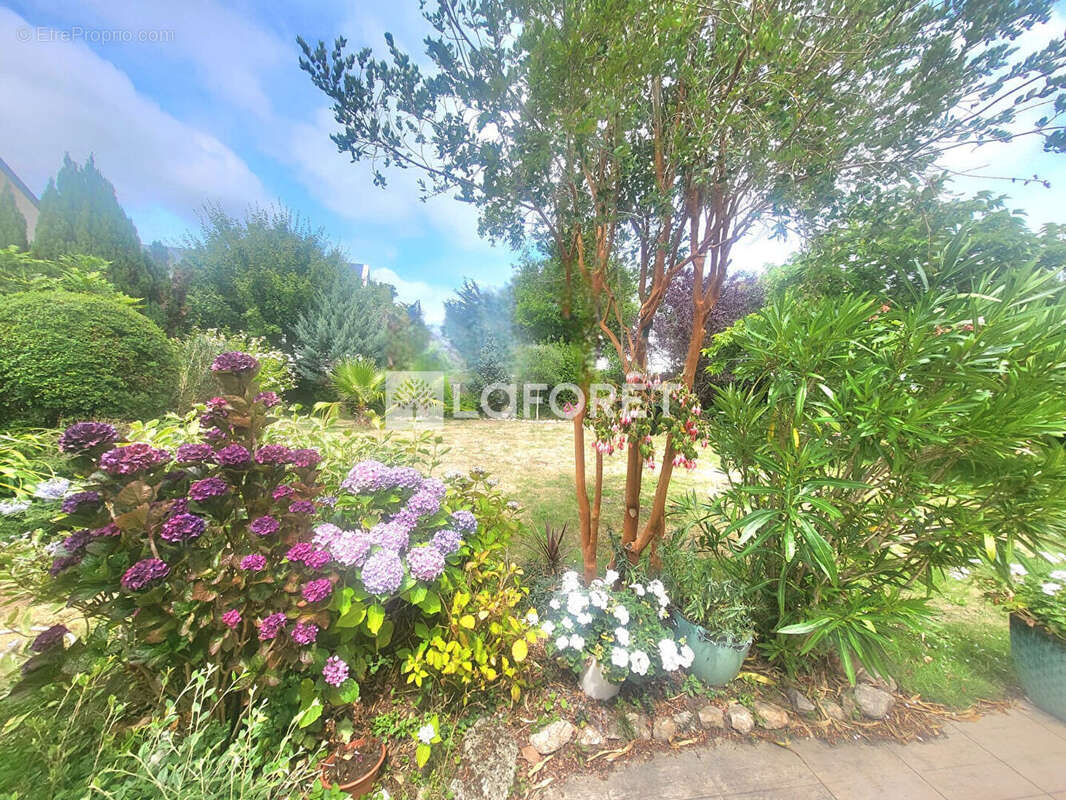 Maison à SAINT-ANDRE-DES-EAUX