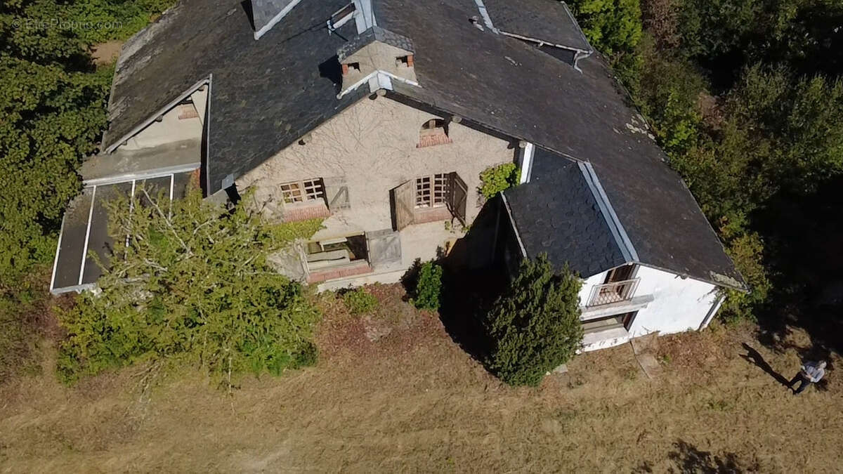 Bellerive sur allier, maison d'architecte avec travaux dans un parc arbore de 3 800 m2 - photo 3