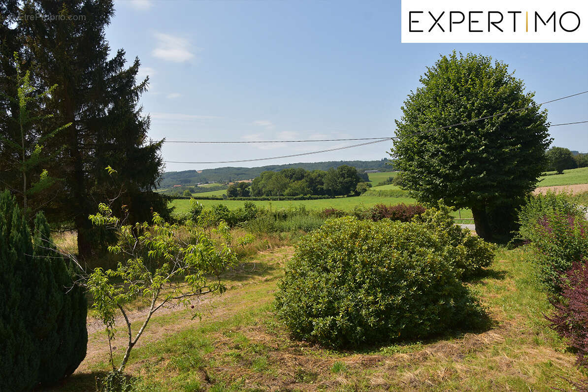 Maison à NEUF-EGLISE