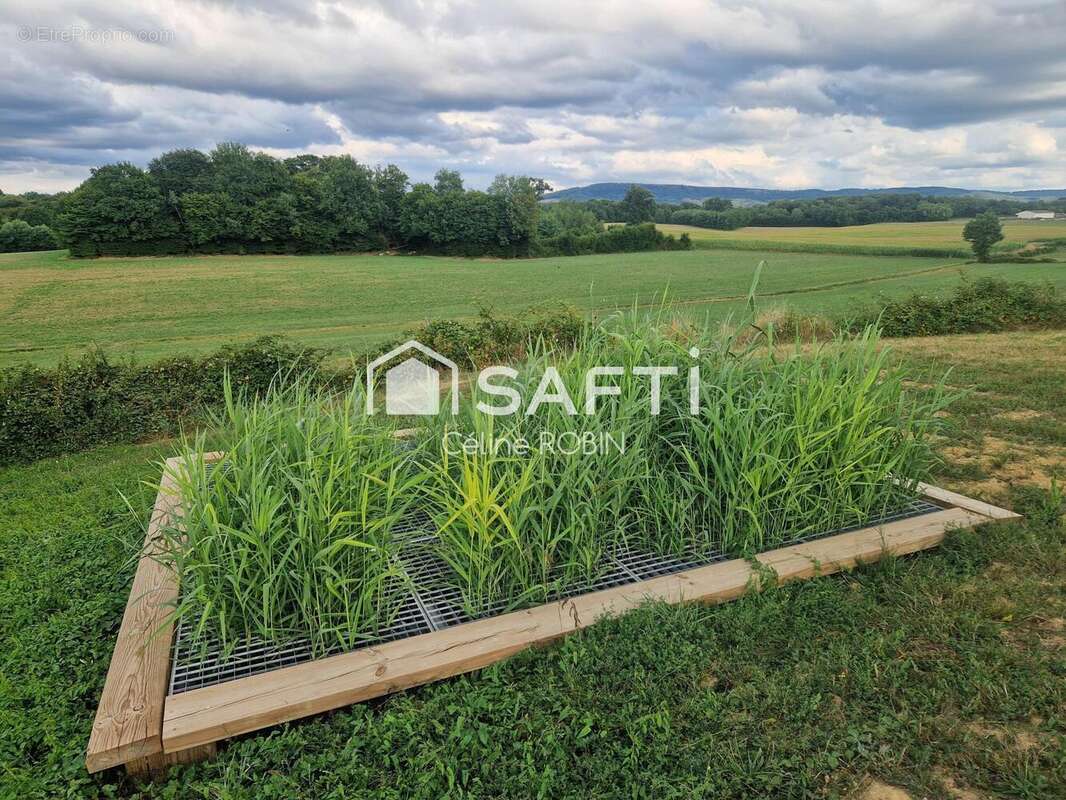 Photo 8 - Maison à LE MIROIR