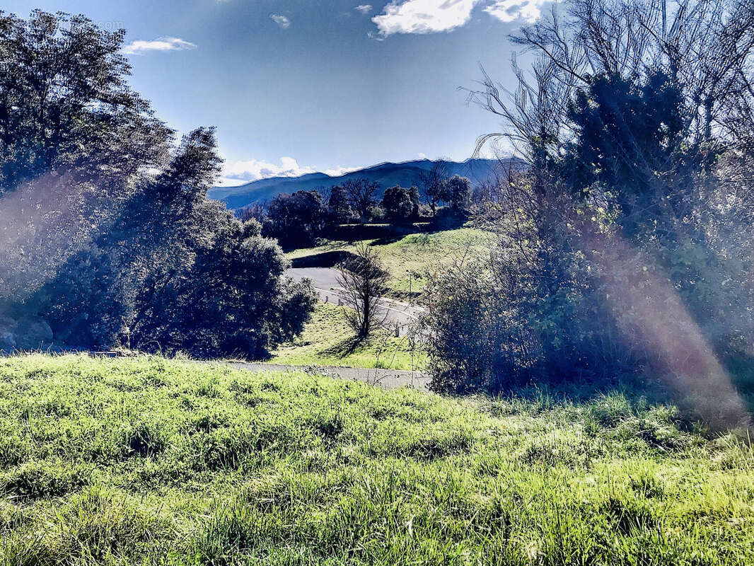 Terrain à AMELIE-LES-BAINS-PALALDA