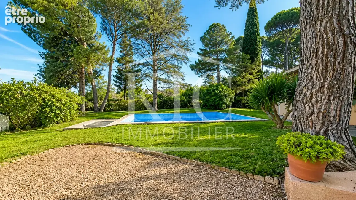 Proche carcassonne - maison 215m2 - 4/5 chambres - terrain 4989m2 - photo 5