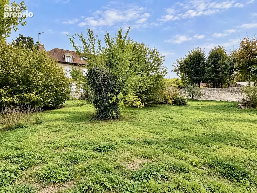 Rare à Vineuil Saint Firmin - photo 4