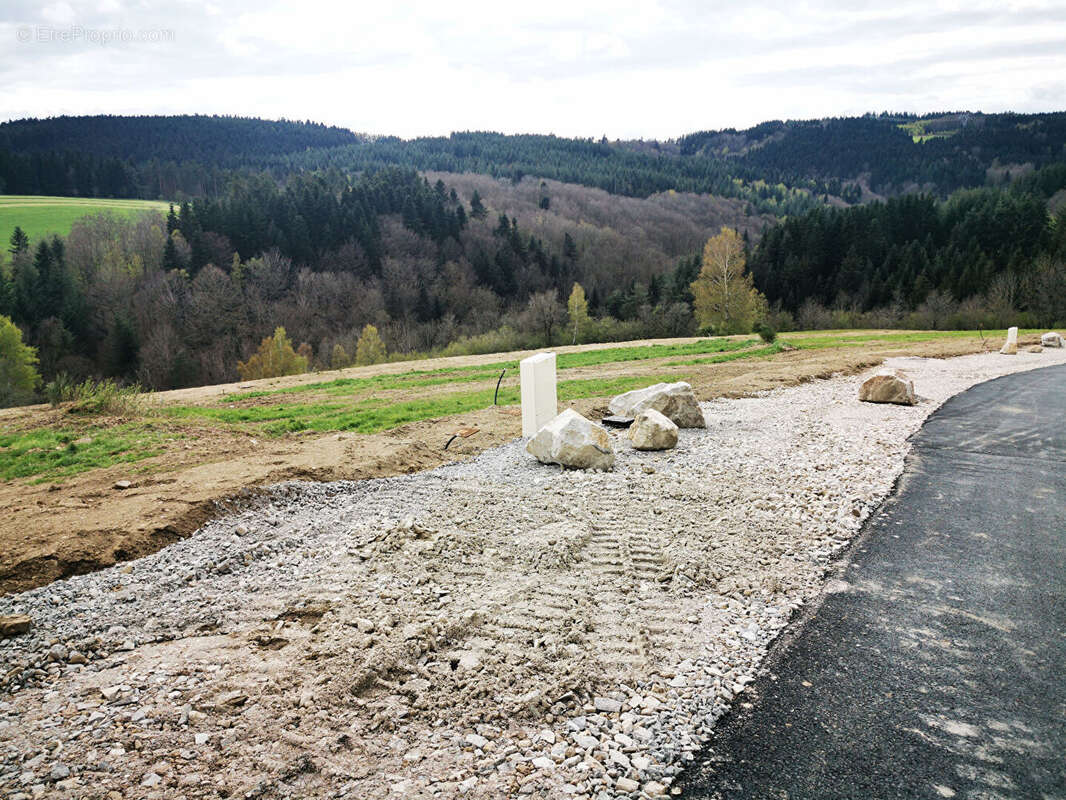 Maison à SAINT-GENEST-MALIFAUX