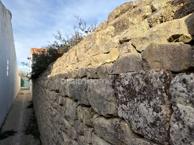 Terrain à SAINTE-MARIE-DE-RE