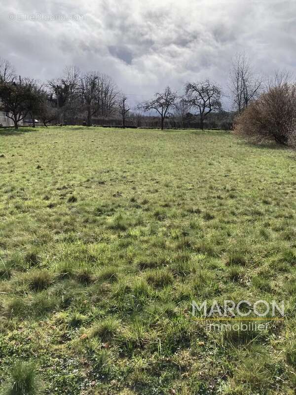 Terrain à CHENERAILLES