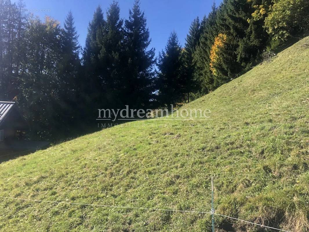 Terrain à SAINT-NICOLAS-LA-CHAPELLE