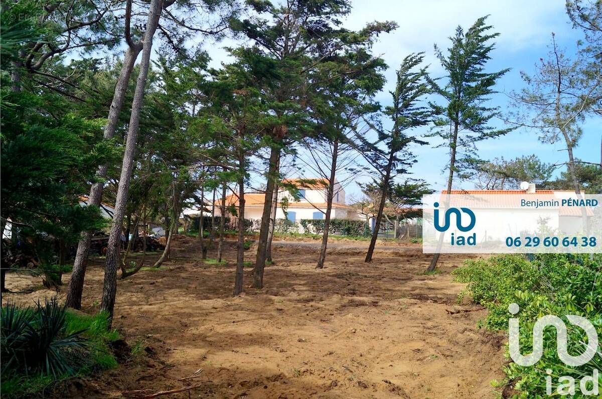 Photo 1 - Terrain à BRETIGNOLLES-SUR-MER