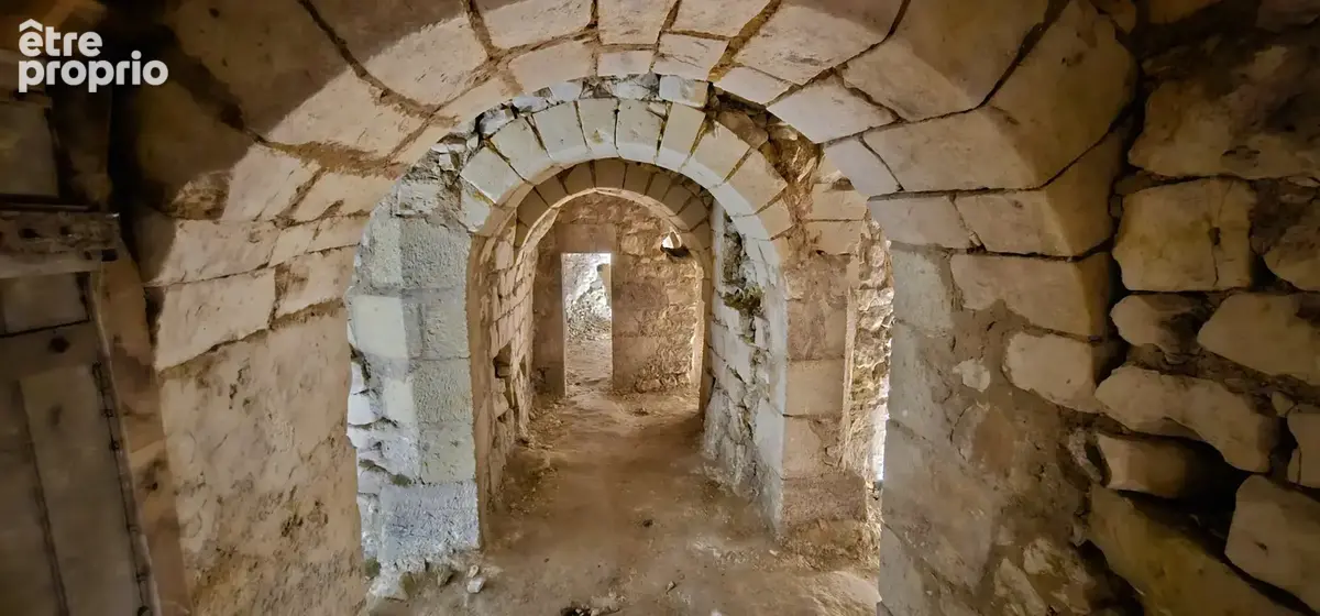 Château du XIIè siècle inscrit aux monuments historiques, dépendances et parc de 2 ha   Sud Touraine - photo 48