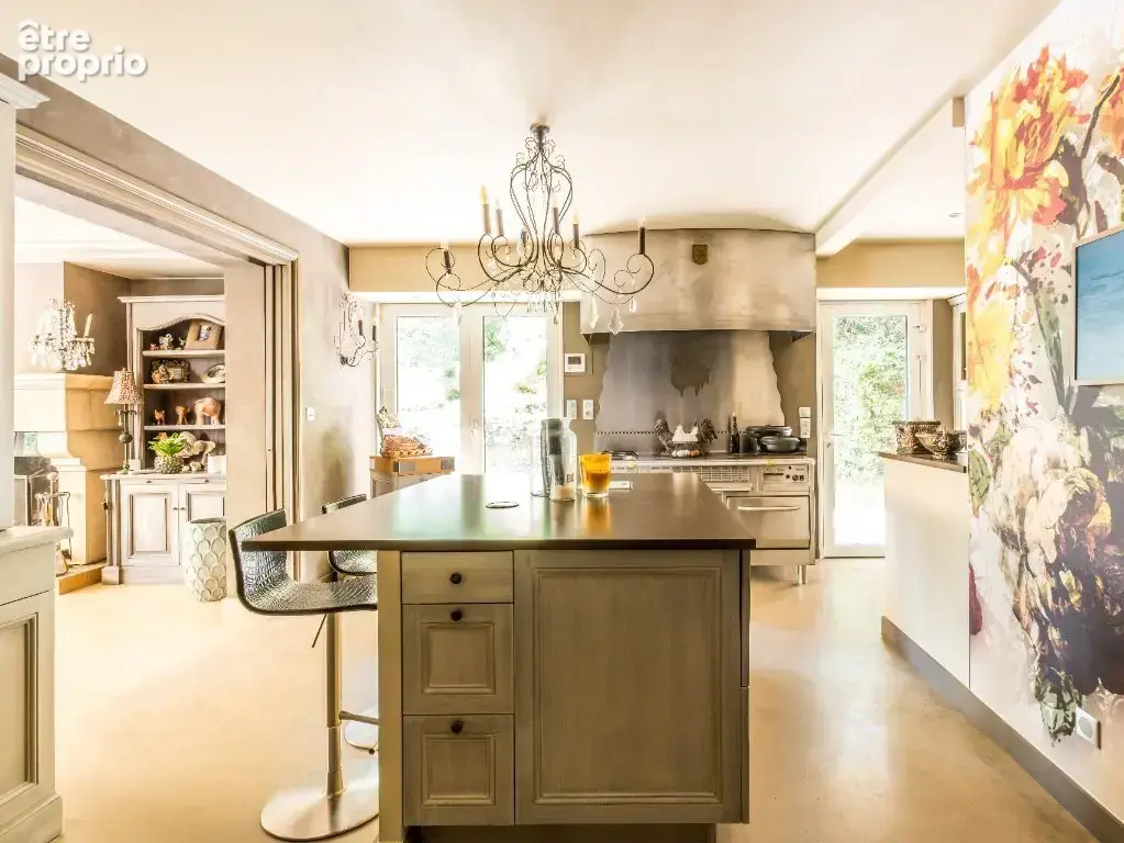 MORANCE DEMEURE 400m² sur un parc de 4453M² - - photo 11