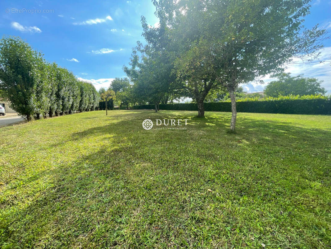 Terrain à LE PUISET-DORE
