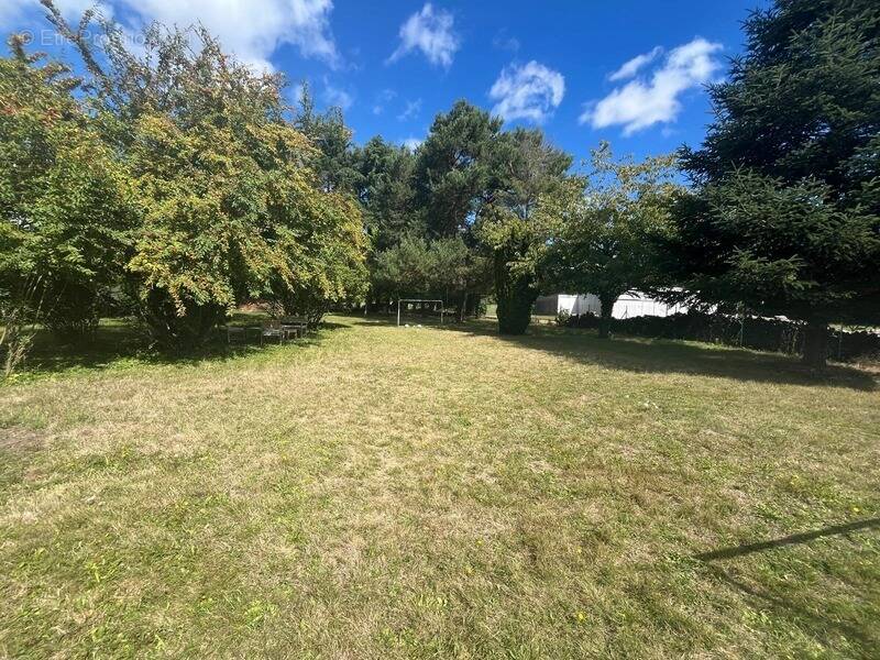 Maison à SAINT-DENIS-EN-VAL