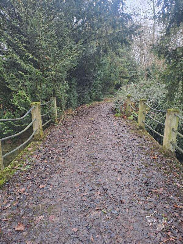 Commerce à MEZIERES-SUR-OISE