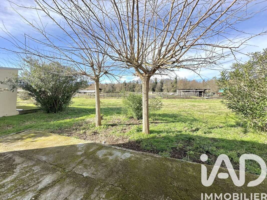 Photo 6 - Appartement à CASTELLARE-DI-CASINCA