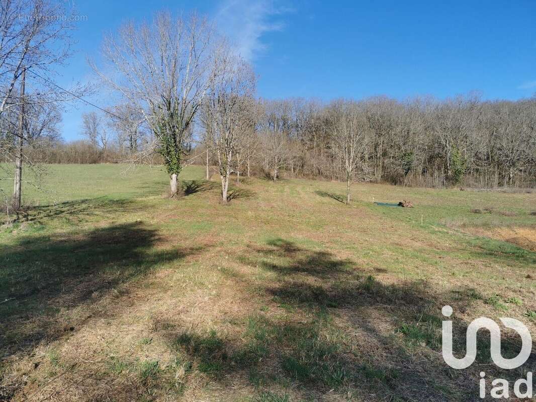 Photo 2 - Terrain à CAZALS