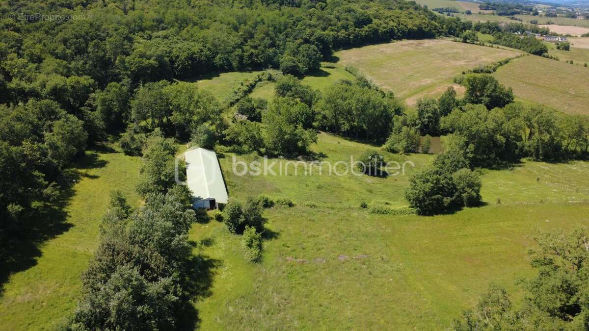  le domaine des possibles infinis  - photo 5