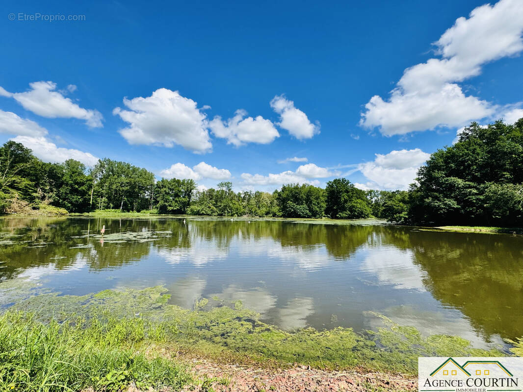 Terrain à LA CHAUX-EN-BRESSE