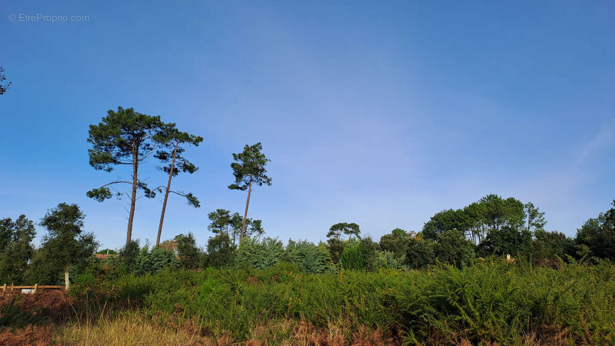Terrain à MOLIETS-ET-MAA